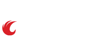 Dental Material Supplies